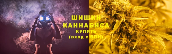 mdpv Богородицк