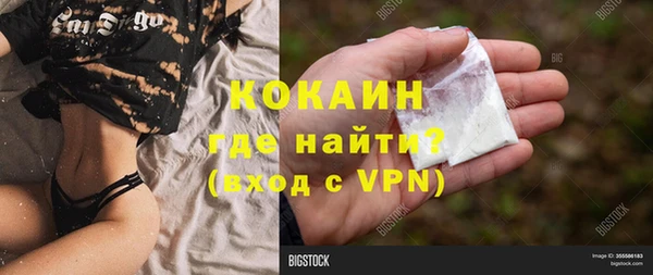 mdpv Богородицк