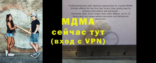 дмт Богданович