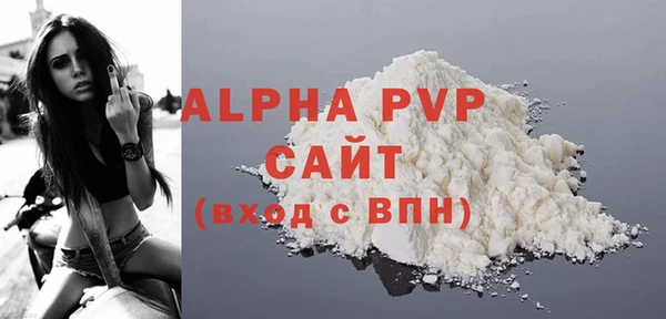 дмт Богданович