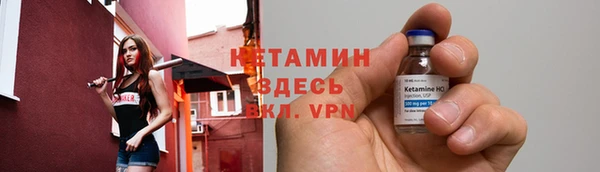 дмт Богданович