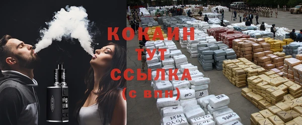дмт Богданович