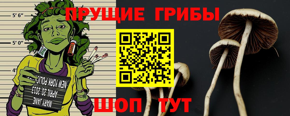 Малоярославец  Галлюциногенные грибы мухоморы  Псилоцибиновые грибы MAGIC MUSHROOMS  Вход с VPN 